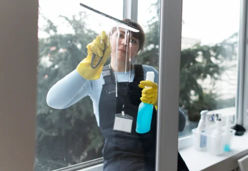Nettoyage de vitres intérieures et extérieures à Petit-Noir